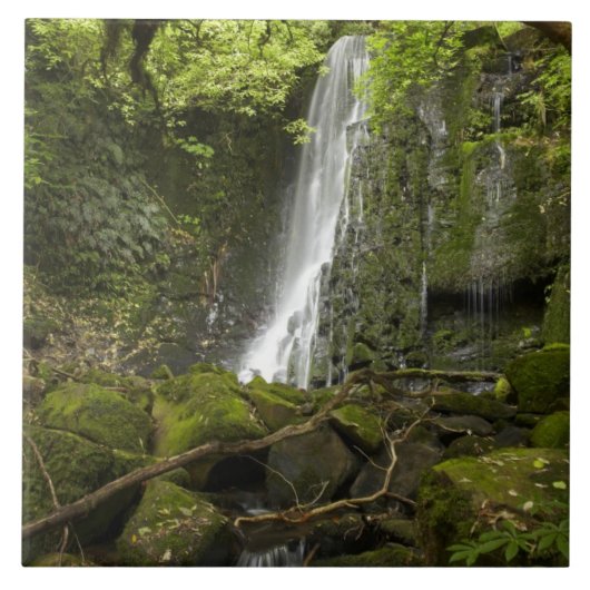Carreau Matai Falls, Catlins, sud d'Otago (Devant)
