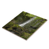 Carreau Matai Falls, Catlins, sud d'Otago (Côté)