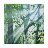 Carreau Matin dans la forêt (Devant)