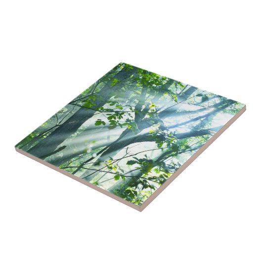 Carreau Matin dans la forêt (Côté)