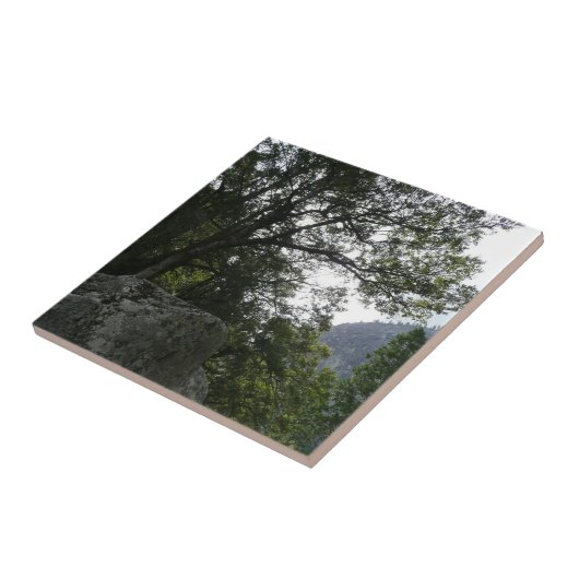 Carreau Matin sur le sentier à Vernal Falls à Yosemite (Côté)