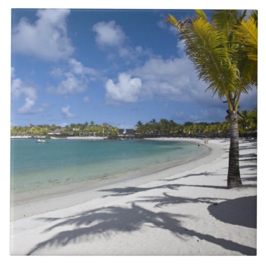 Carreau Maurice, Ile Maurice, Trou d'Eau Douce, (Devant)