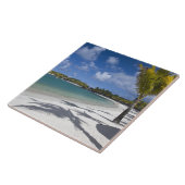 Carreau Maurice, Ile Maurice, Trou d'Eau Douce, (Côté)