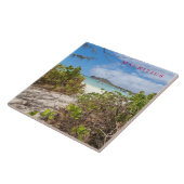 Carreau Maurice Ilot Gabriel vue plage céramique (Côté)