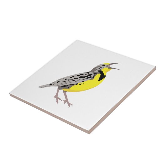 Carreau Meadowlark (Côté)