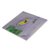 Carreau Meadowlark (Côté)