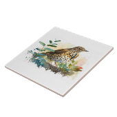 Carreau Meadowlark sur un Arrière - plan blanc solide sur (Côté)