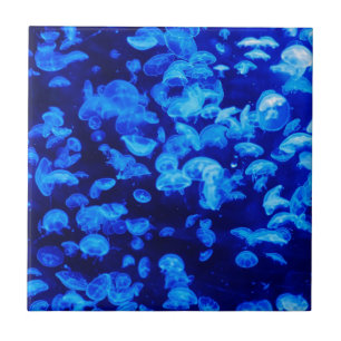 Carreau Méduses en mer bleue profonde