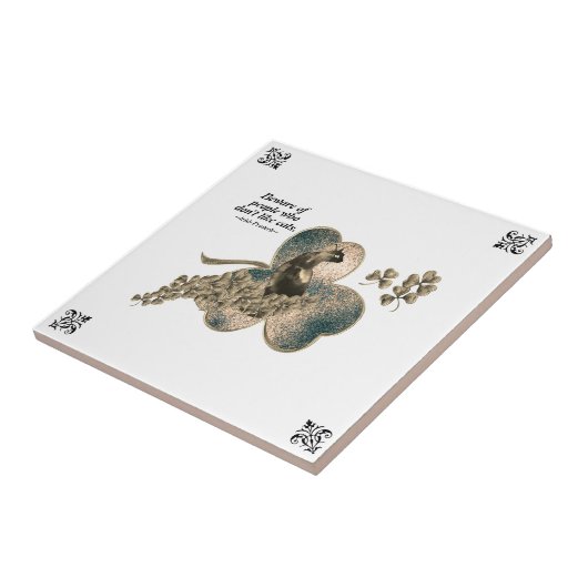 Carreau Méfiez-vous des gens qui n'aiment pas les chats, é (Côté)