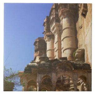 Carreau Meherangarh, le Fort Majestueux, Jodhpur,
