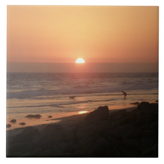 Carreau Meilleurs amis à la plage (Devant)