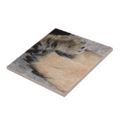 Carreau Meilleurs amis pour toujours par Shirley Taylor (Côté)