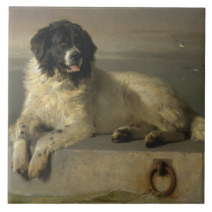 Carreau Membre distingué de la Société Humane