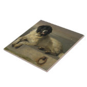 Carreau Membre distingué de la Société Humane (Côté)