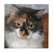 Carreau MeMeow (Devant)