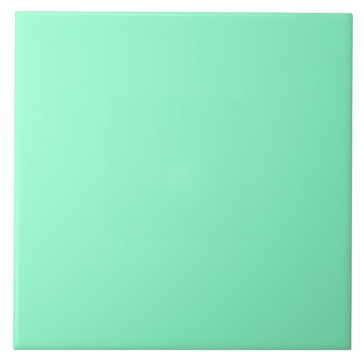 Carreau Menthe Magique (Devant)