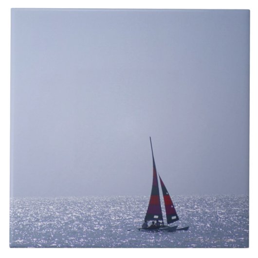 Carreau Mer 23 (Devant)