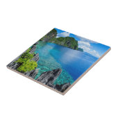 Carreau Mer de l'archipel de Bacuit (Côté)