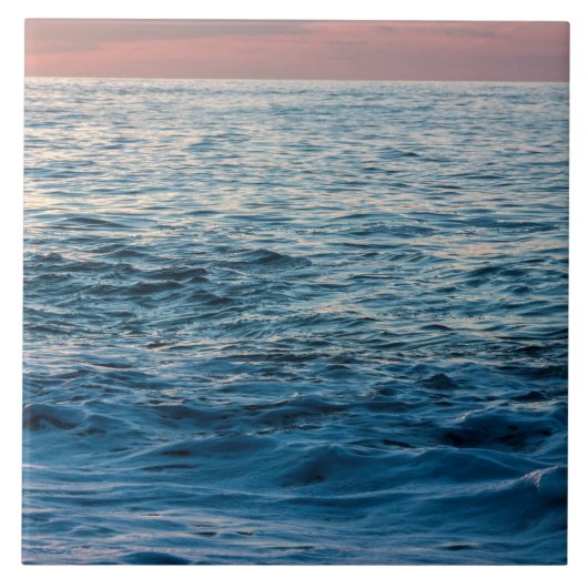 Carreau Mer ouverte (Devant)
