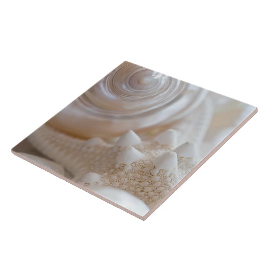 Carreau Mer Shell et arrière - plan d'étoiles de mer - (Côté)