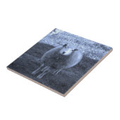 Carreau Mère bleue et blanche mouton (Côté)