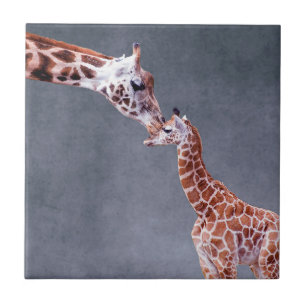 Carreau Mère des images de Getty et girafe de bébé