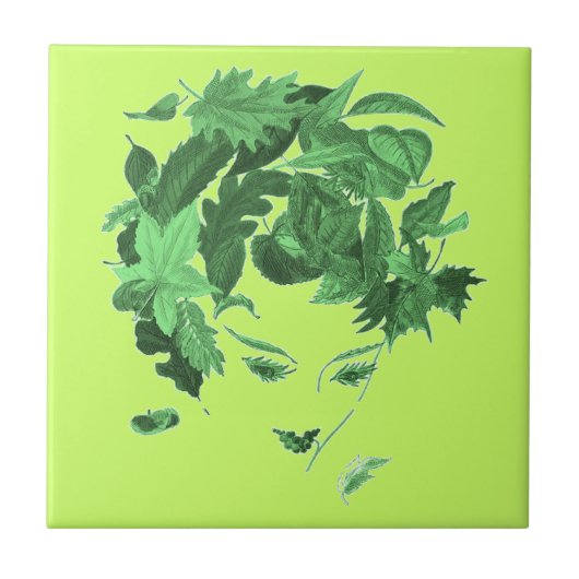 Carreau Mère Nature Vintage (Devant)