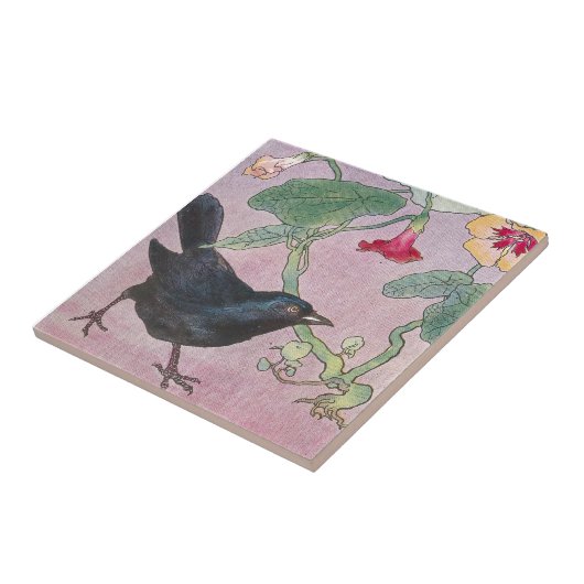 Carreau Merle et nasturces (Côté)