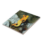 Carreau mermaid blonde (Côté)