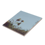 Carreau Mes amis les petits visiteurs. #oiseau #nature #fa (Côté)