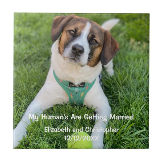 Carreau Mes humains se marient Photo de fiançailles  (Devant)