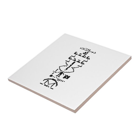 Carreau Message binaire Arecibo 1974 (Côté)