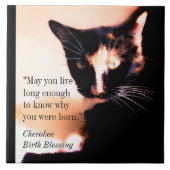 Carreau Messenger Cat (Devant)