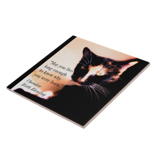 Carreau Messenger Cat (Côté)