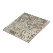 Carreau Metz (Côté)