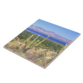 Carreau Mexique, Basse Californie du Sud, Cardon Cactus à (Côté)