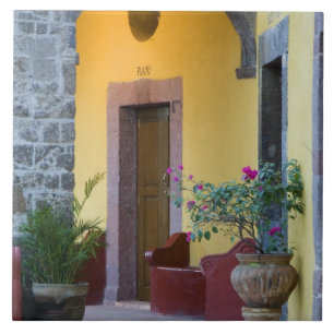 Carreau Mexique, San Miguel de Allende, entrée d'Archway