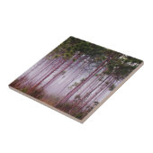 Carreau Mi parmi les pins au lever du soleil, Everglades (Côté)