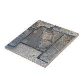 Carreau Michigan Petoskey Stone (Côté)