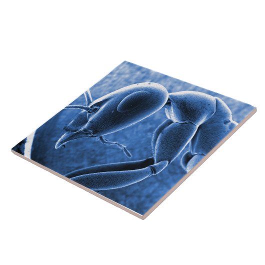 Carreau Micrographe nano de microscope à balayage (Côté)