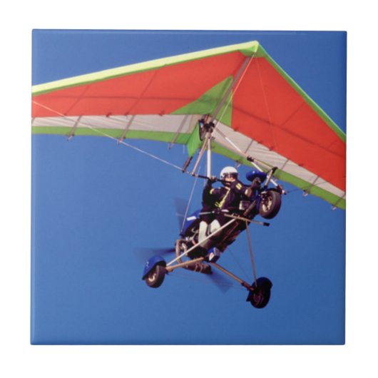Carreau Microlight Flying In Sky, Western Cape (Devant)