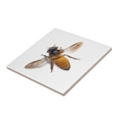 Carreau Miel Bee (Côté)