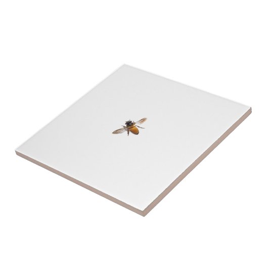 Carreau Miel Bee (Côté)