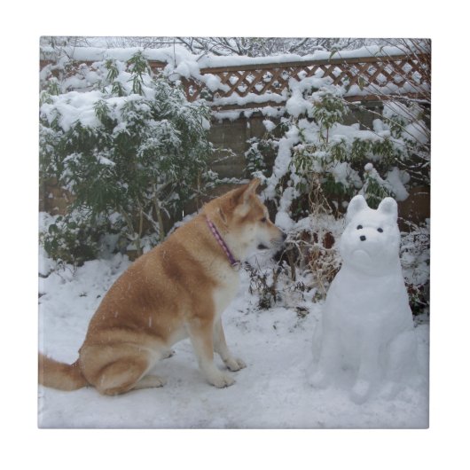 Carreau mignonne akita assise avec un bonhomme de neige da (Devant)