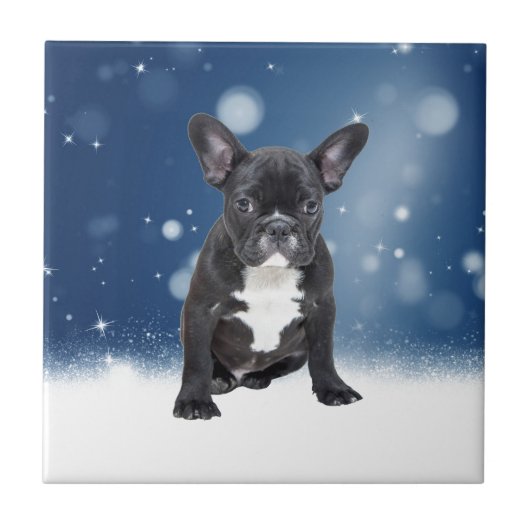 Carreau Mignonne French Bulldog Etoiles de neige Bleu Noël (Devant)
