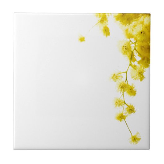 Carreau Mimosa (Devant)