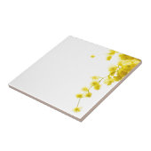 Carreau Mimosa (Côté)