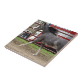 Carreau Mini Horse en classe Liberty (Côté)