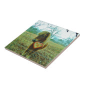 Carreau Miniature cheval Brown Valentine Heart (Côté)