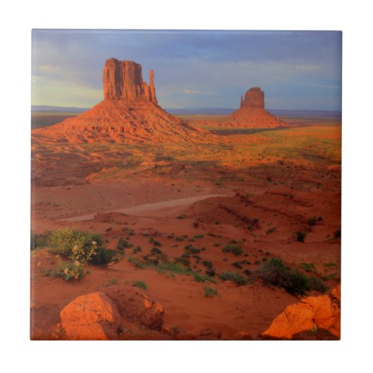 Carreau Mittens, Monument valley, AZ (Devant)